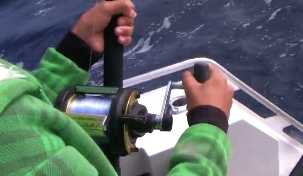 VIDEO: Portland tuna fishing